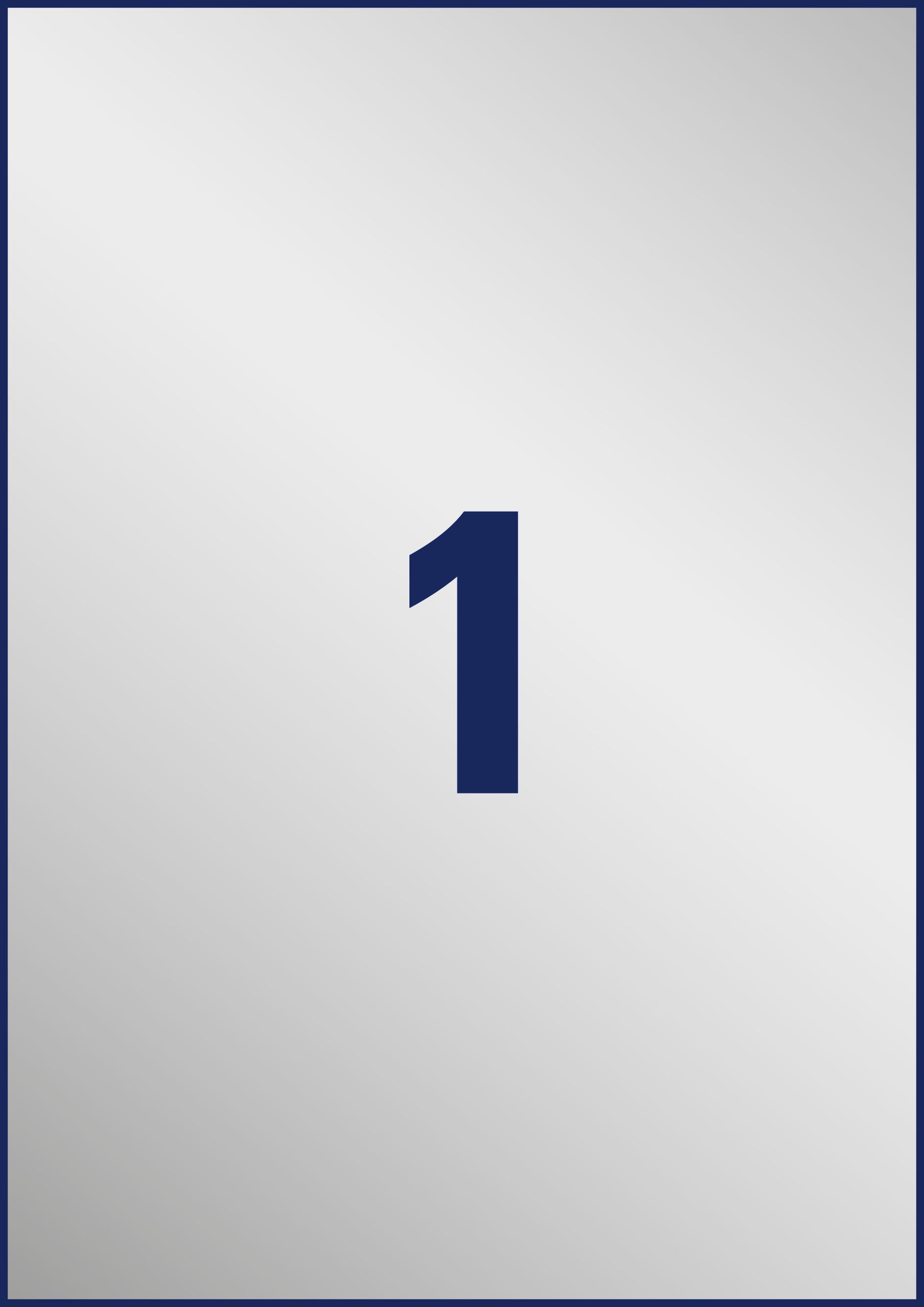 AVERY ZWECKFORM Typenschild-Etik. 210x297mm L6013-20 silber,Laser 20 St./20 Blatt