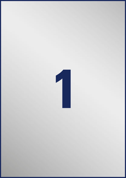 AVERY ZWECKFORM Typenschild-Etik. 210x297mm L6013-20 silber,Laser 20 St./20 Blatt