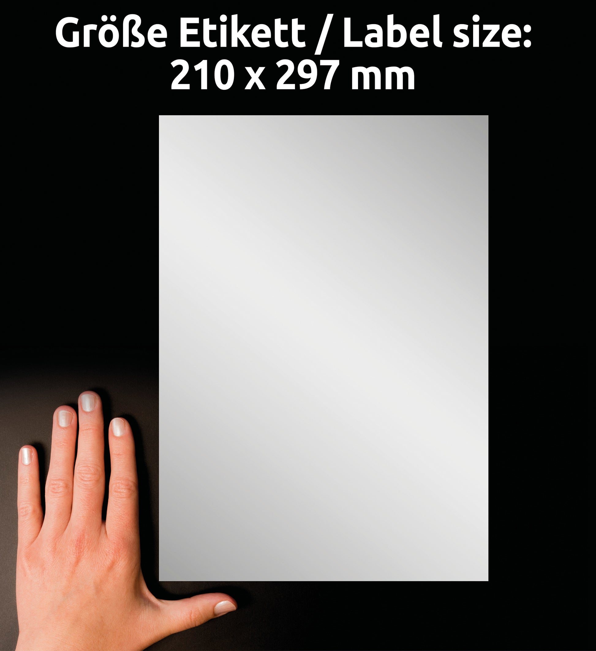 AVERY ZWECKFORM Typenschild-Etikett. 210x297mm L6013-8 silber 8 Blatt/8 Stk.