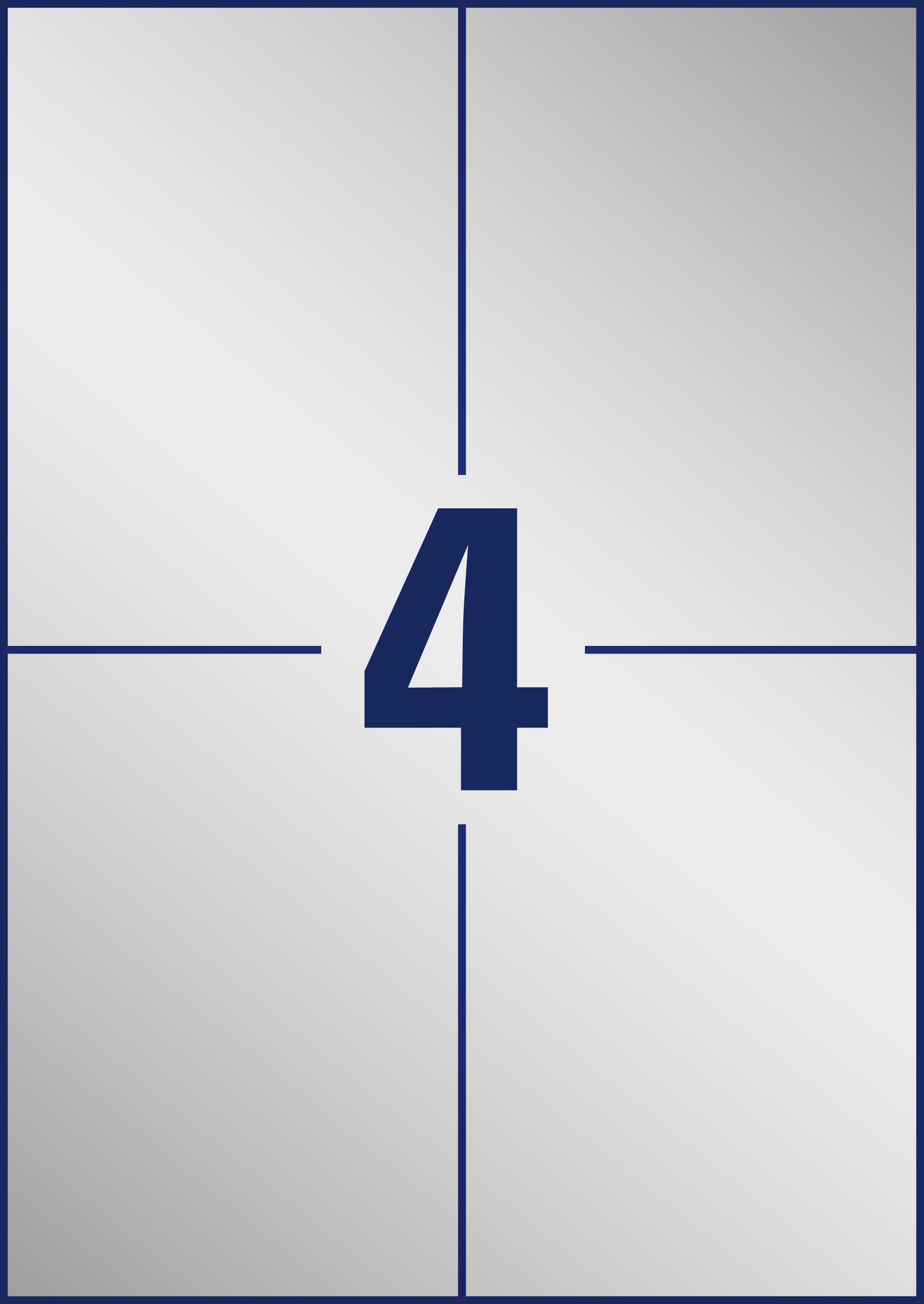 AVERY ZWECKFORM Etiketten Typenschild silber L613420 20 Blatt 105x148mm