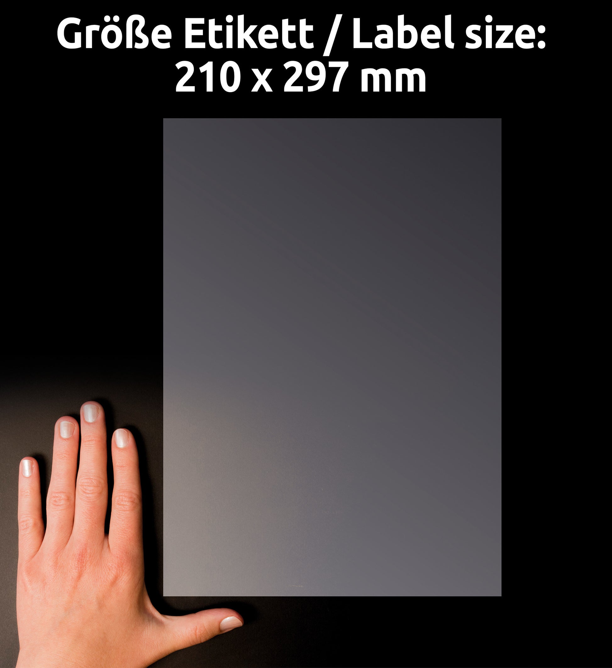 AVERY ZWECKFORM Etiketten 210x297mm L7784-25 transparent 25 Stück