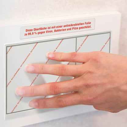 AVERY ZWECKFORM Etiketten L8011-10 Antimic. 210x297mm transp.