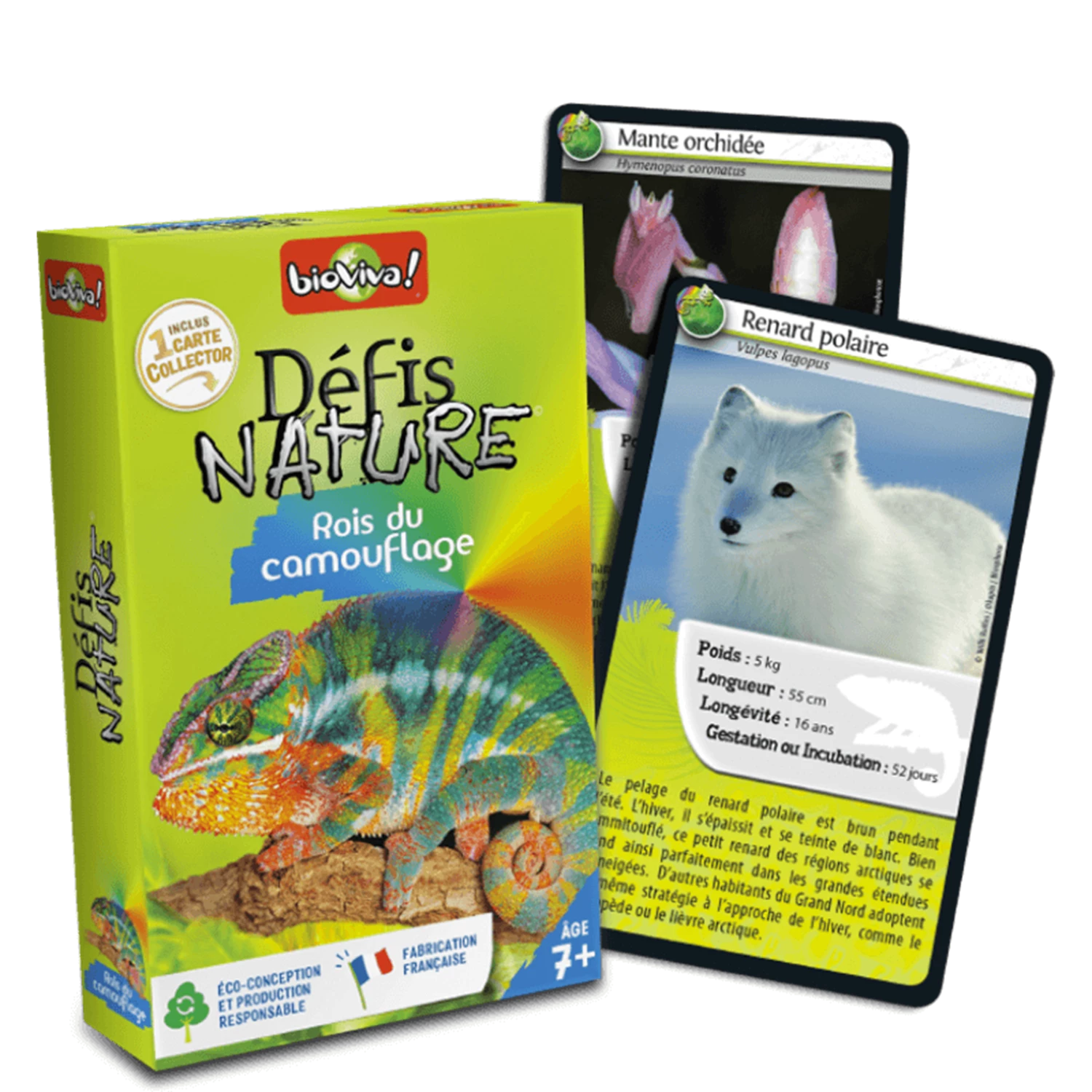 DEFIS NATURE ROIS DU CAMOUFLAGE (FR)