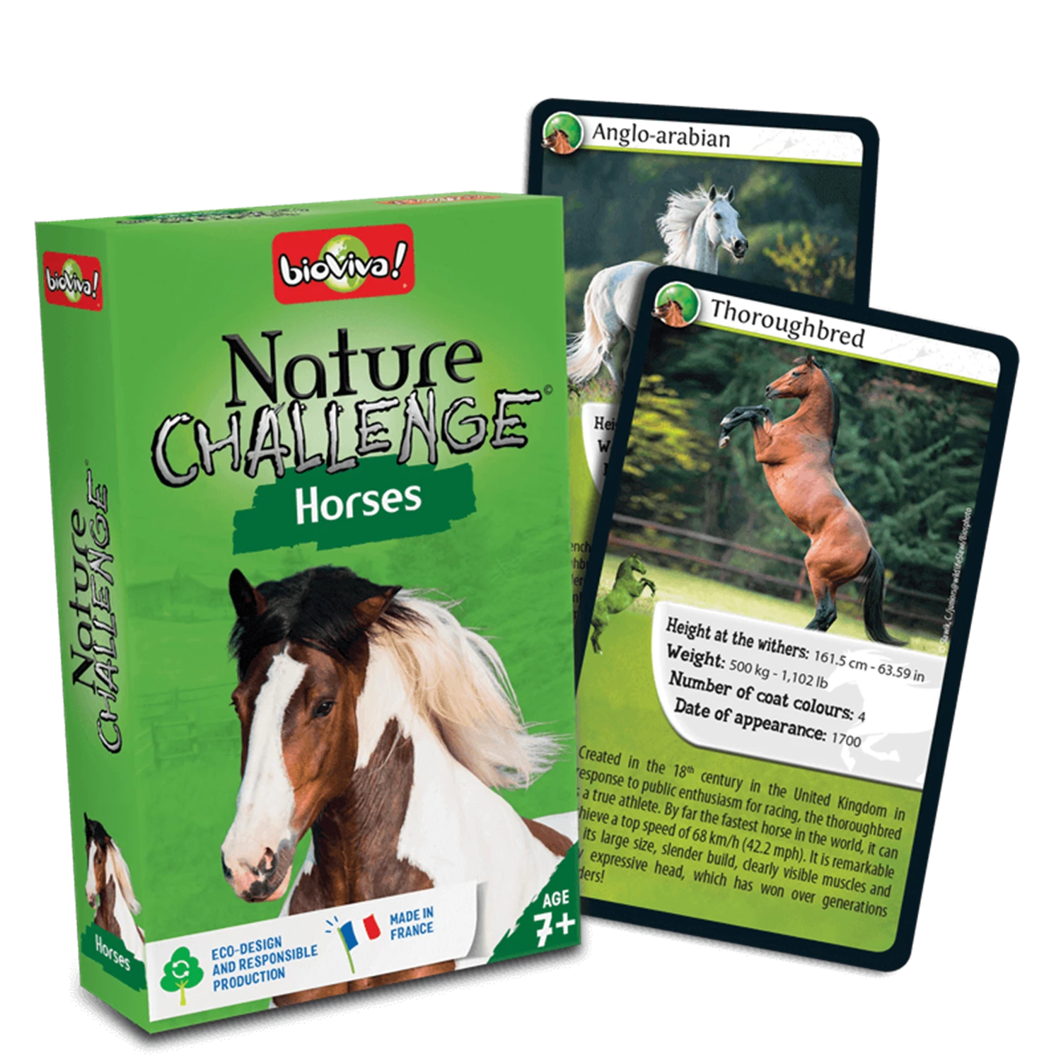 NATURE CHALLENGE HORSES (EN)