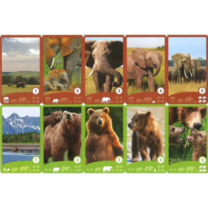 DISNEYNATURE CRAZY FAMILIES (FR-DE-IT-EN-NL-ES)