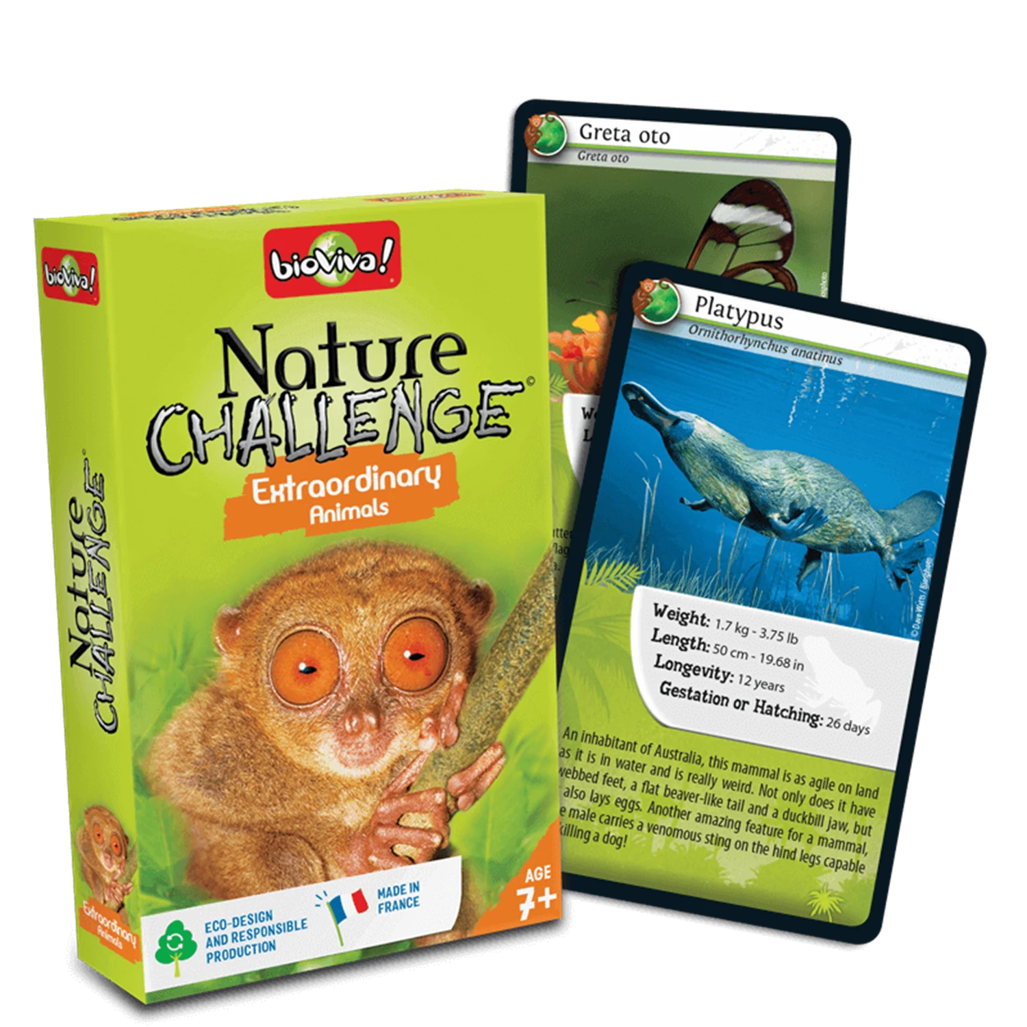 NATURE CHALLENGE EXTRAORDINARY ANIMALS (EN)
