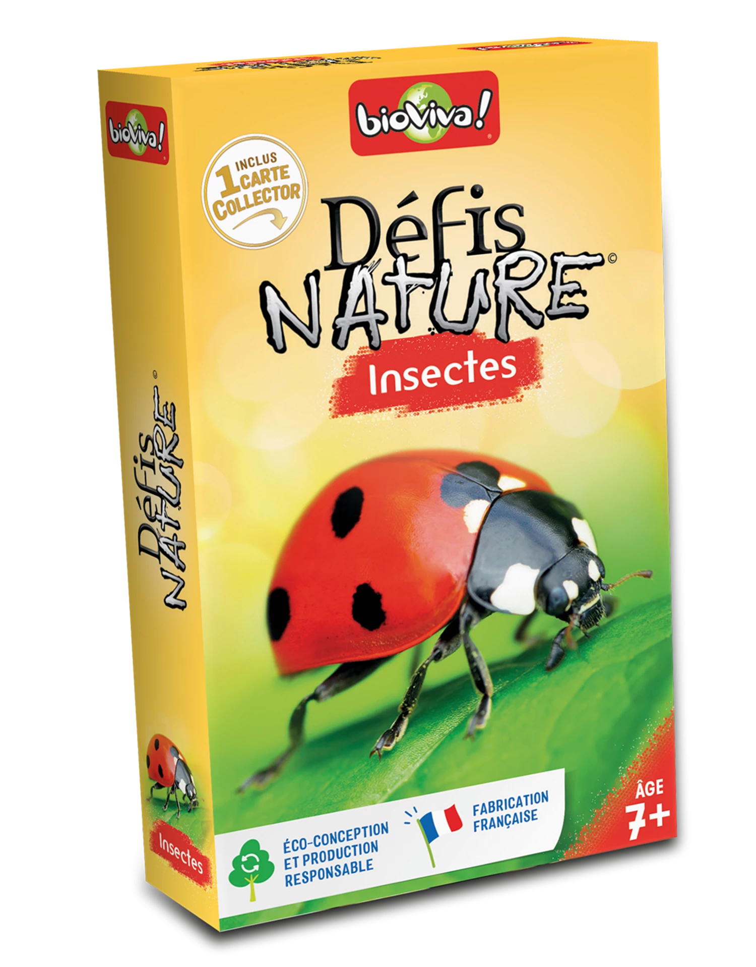 DEFIS NATURE INSECTES 2024 (FR)