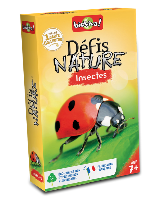 DEFIS NATURE INSECTES 2024 (FR)