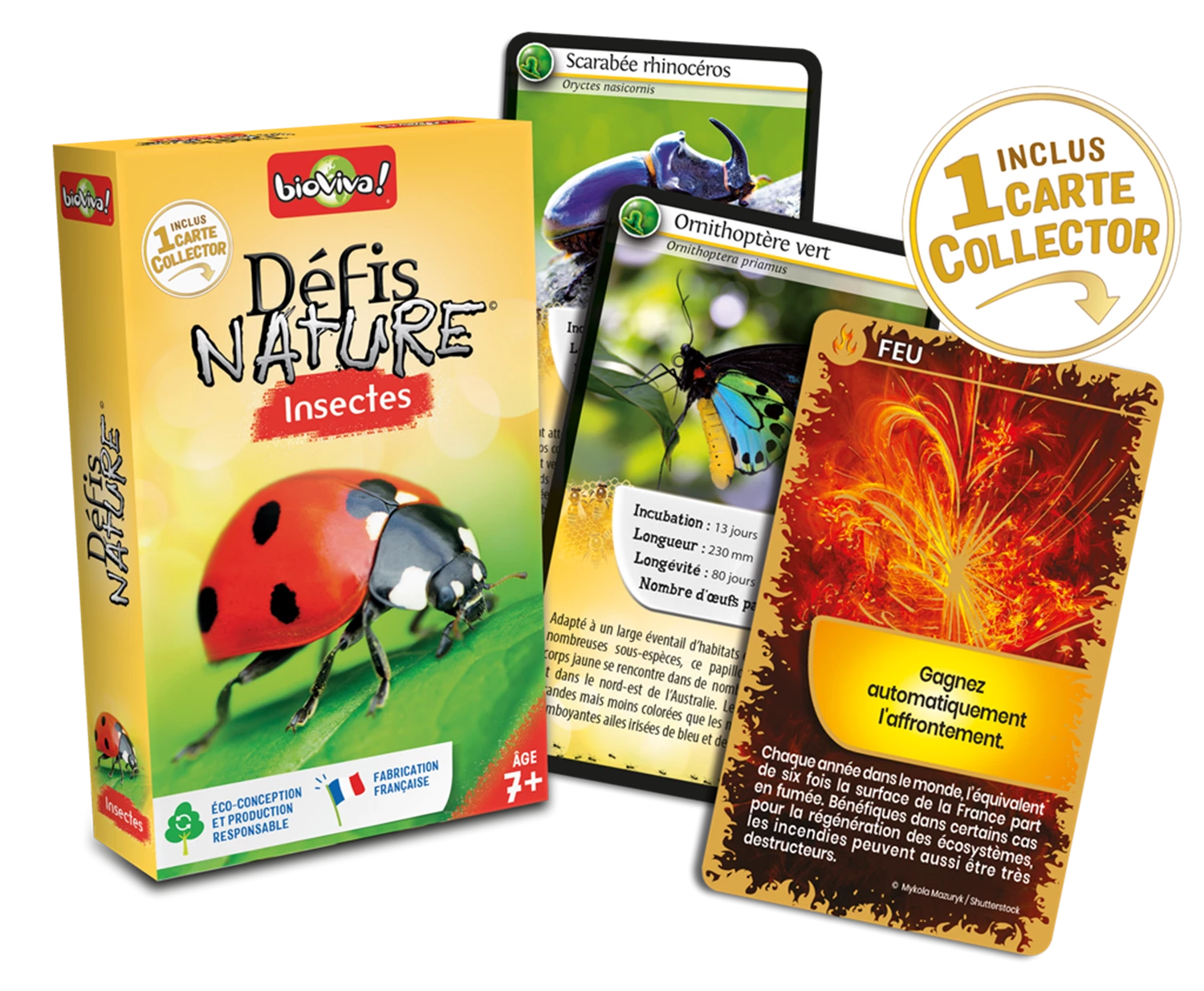 DEFIS NATURE INSECTES 2024 (FR)