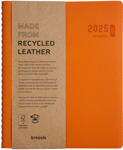 BREPOLS Agenda Timing Calvi 2025 0.136.6870 1W/2S orange 17.1x22cm