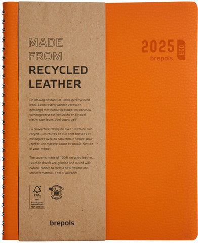 BREPOLS Agenda Timing Calvi 2025 0.136.6870 1W/2S orange 17.1x22cm