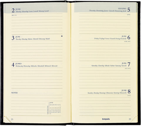 BREPOLS Agenda Interp. Tro.Flower 2025 0.736.0765 1W/2S ass. 9x16cm