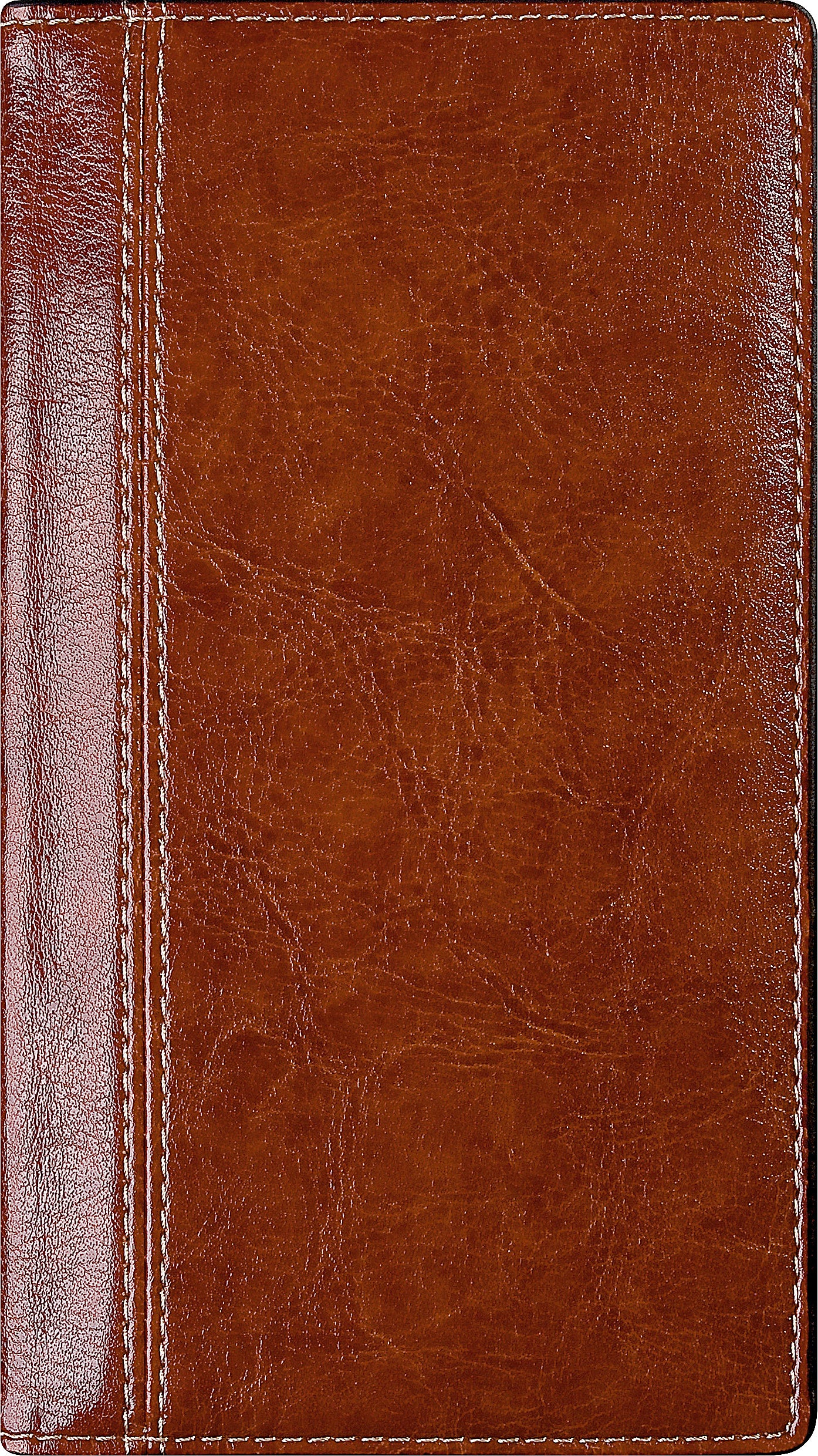 BREPOLS Agenda Interplan Ku.Pal. 2025 0.736.3302 1W/2S braun 9x16cm