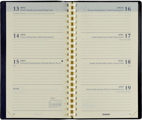 BREPOLS Agenda Interplan 736 Pal. 2025 0.736.3322 1W/2S ass. 9x16cm