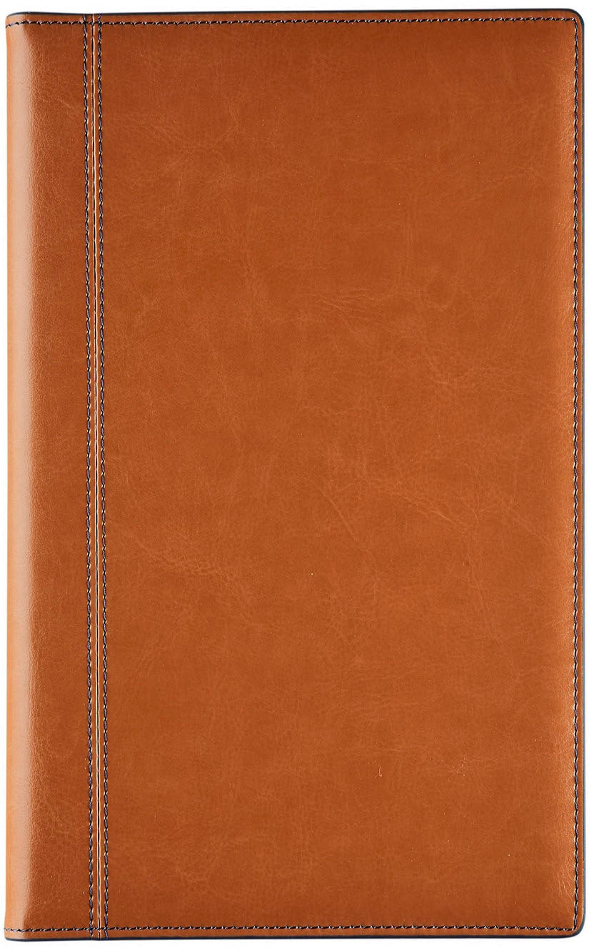 BREPOLS Agenda Interplan 736 Pal. 2025 0.736.3322 1W/2S ass. 9x16cm