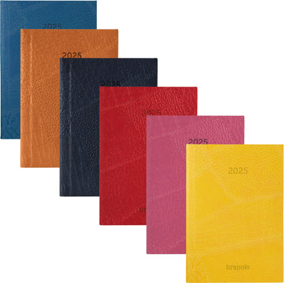 BREPOLS Agenda Delta Lucca 2025 0.834.3395 1W/2S ass. 8.1x12cm