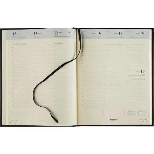 BREPOLS Agenda Timing Sunrise 2025 13602759960 1W/2S ass. ML 17.1x22cm