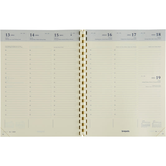 BREPOLS Agenda Timing Cube 2025 13634519920 1W/2S ass. ML 17.1x22cm