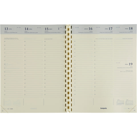 BREPOLS Agenda Timing Cube 2025 13634519920 1W/2S ass. ML 17.1x22cm