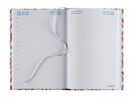 BREPOLS Schüleragenda Rainbow 25/26 2.140.5385 1T/1S 12M ass. ML 11.5x16.9cm