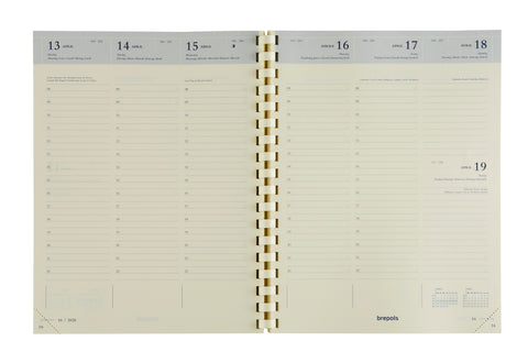 BREPOLS Agenda Timing Maverick 2025 MAV-TO-803 1W/2S braun 17.1x22cm