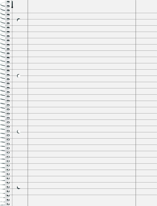 BRUNNEN Brunnen Collegeblock Premium 1067127 A4 liniert mit Rand 80 Blatt