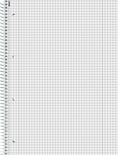 BRUNNEN Brunnen Collegeblock Premium 106732895 A4 5mm kariert ass. 80 Blatt