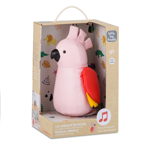 DIE MUSIKTIERE - PARIS DER SITTICH