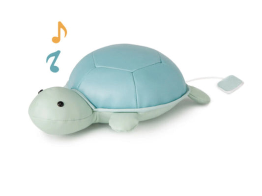 DIE MUSIKTIERE - EMILIE DIE SCHILDKRÖTE