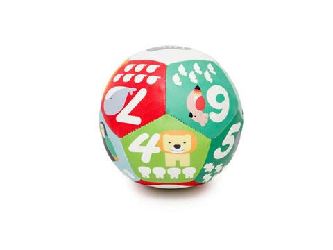 DISCOVERY BALL DISPLAY - DSCHUNGEL - 12PCS