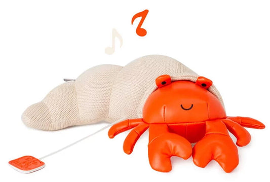 DIE MUSIKTIERE - BRIGITTE DER EINSIEDLERKREBS