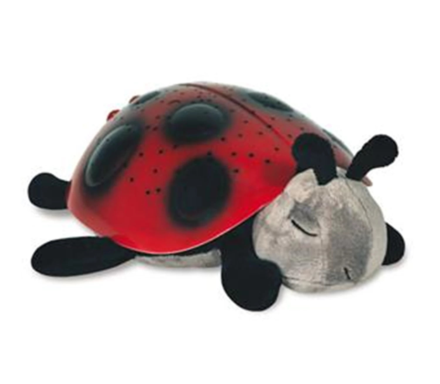 TWILIGHT LADYBUG - KLASSISCH