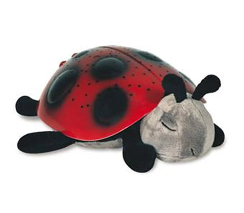 TWILIGHT LADYBUG - KLASSISCH