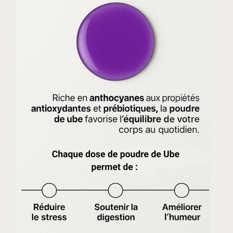 Routine – Pó de Ube Puro 225g | Fornecimento para 75 Dias • Rico em Antioxidantes • Suporte à Imunidade &amp; Digestão 💜