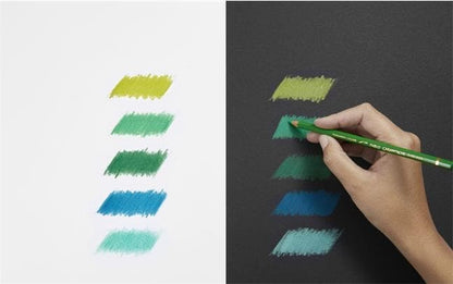 CARAN D'ACHE Farbstifte Pablo 666.318 18 Farben