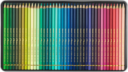 CARAN D'ACHE Farbstifte Pablo 666.380 ass. 80 Stück