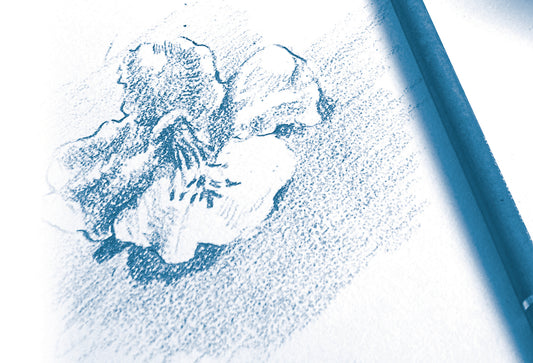 CLAIREFONTAINE Zeichenblock A4 96624C Weiß 30 Blatt