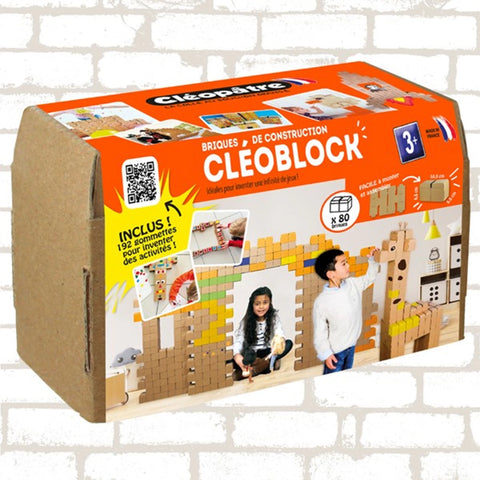 PREMIUM BOX MIT 80 XL BRICKS + 1 MEGA XXXL BOX