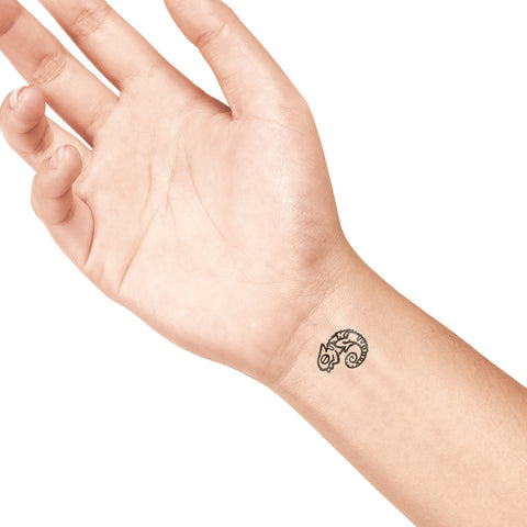 COLOP LaDot Stein small 167843 chameleon