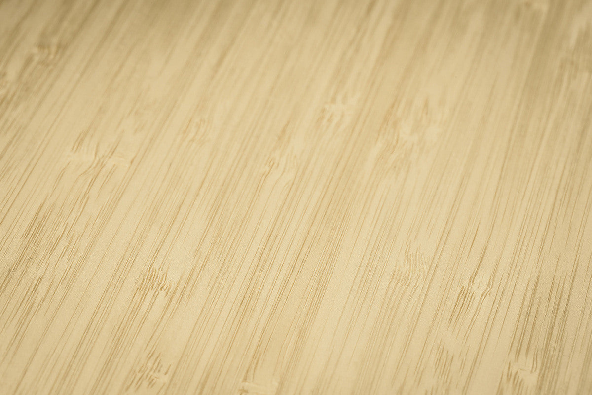 CONCEPTUM Notizbuch bamboo A5 CO670 punktkariert, 194 S., bunt