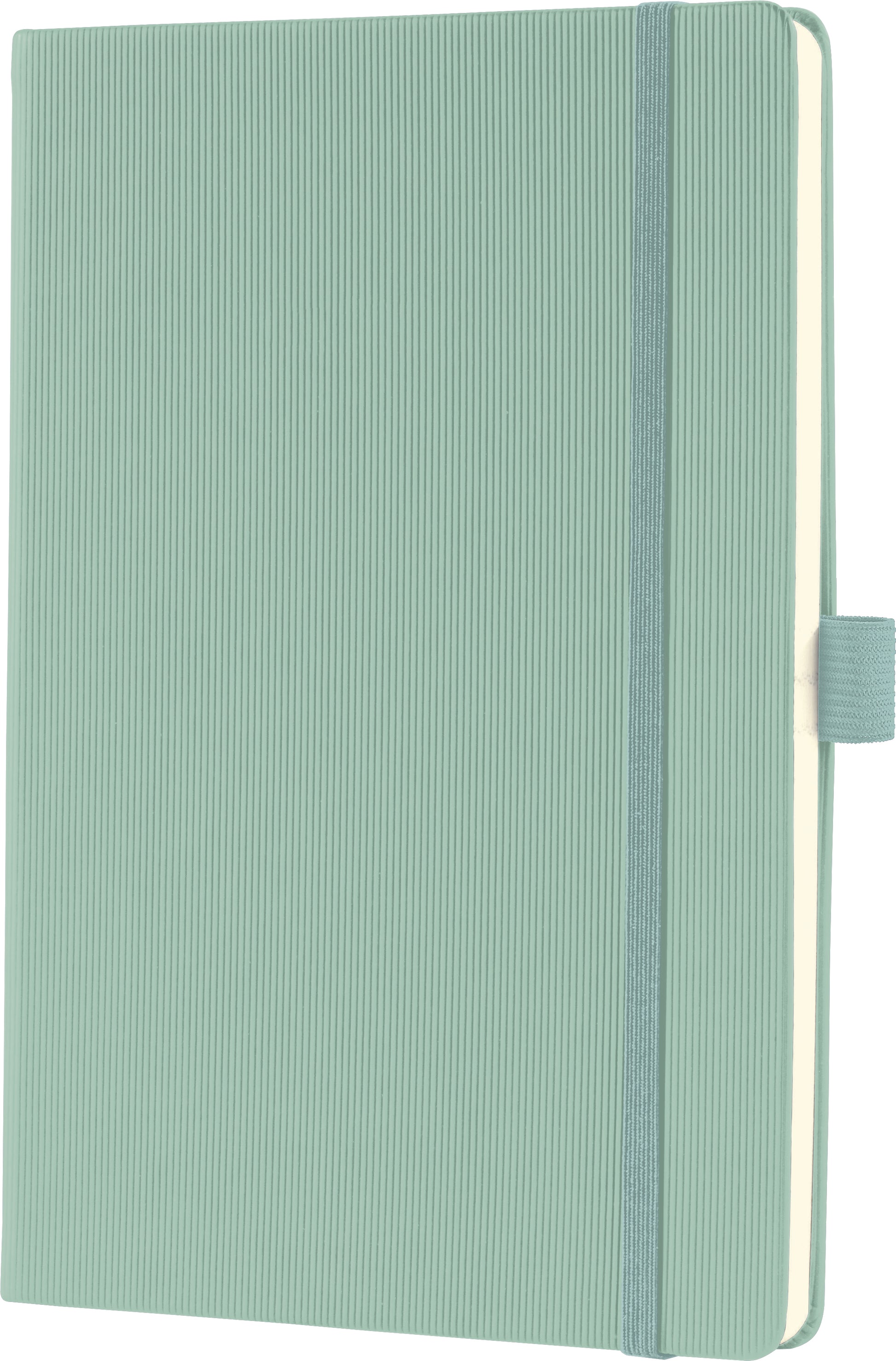 CONCEPTUM Notizbuch A5 CO682 mint green, kariert 194 Seiten