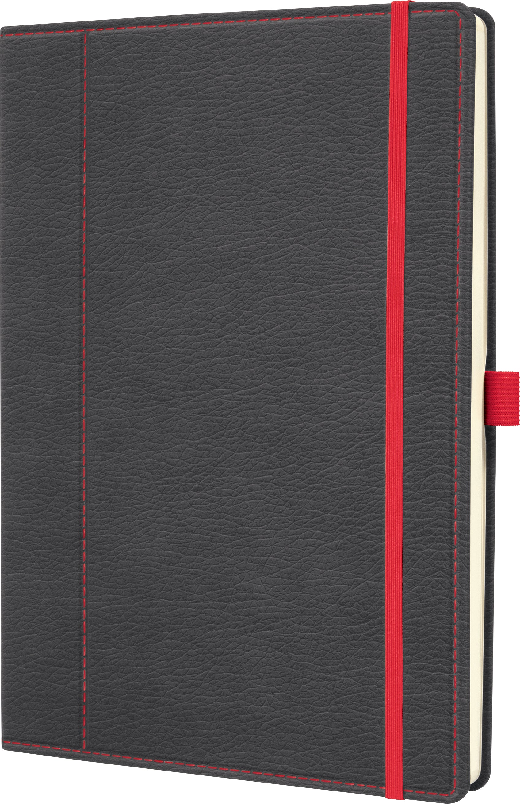 CONCEPTUM Notizbuch A4 CO694 grey-red, dots 194 Seiten