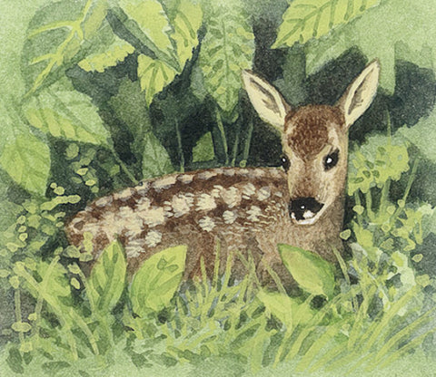 COPPENRATH Wandkalender 70003 Tier im Winter