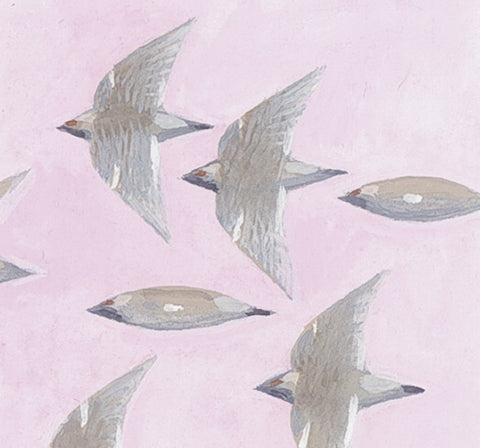 COPPENRATH Wandkalender 70003 Tier im Winter