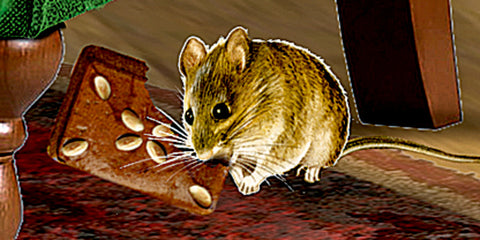 COPPENRATH Wandkalender 72553 Kaminzimmer