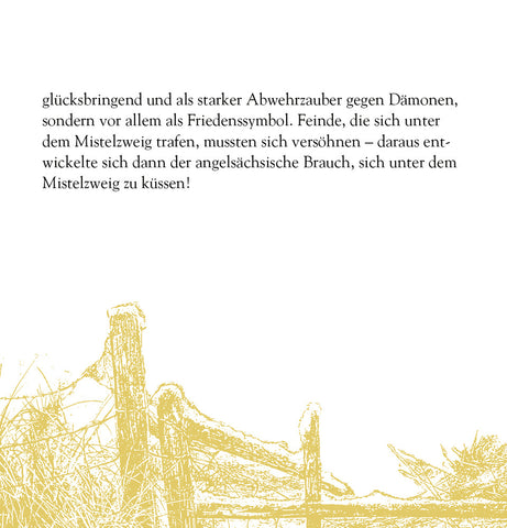 COPPENRATH Zettelkalender 72562 Magie u. Mythos der Weihnacht