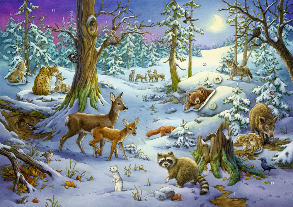 COPPENRATH Sticker Adventskalender 95253 Tiere im Winterwald
