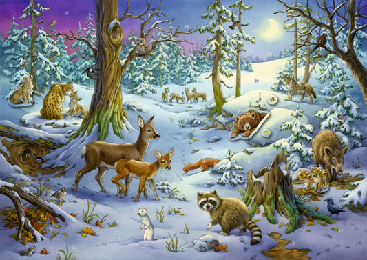 COPPENRATH Sticker Adventskalender 95253 Tiere im Winterwald