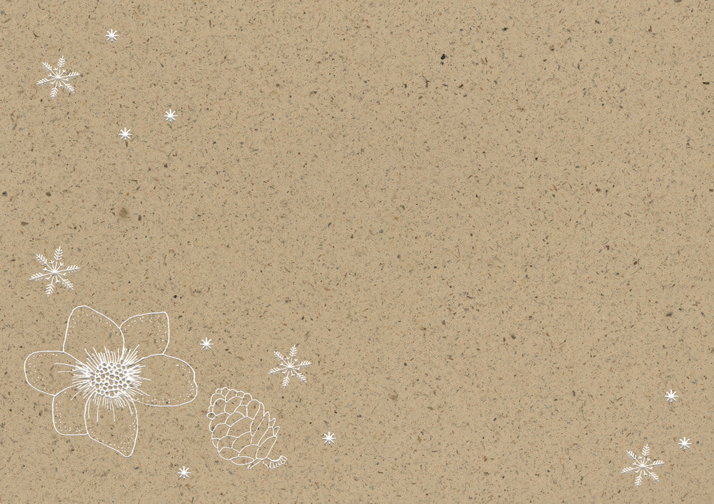 COPPENRATH A5 Adventskalender 95283 Zauber der Winternatur