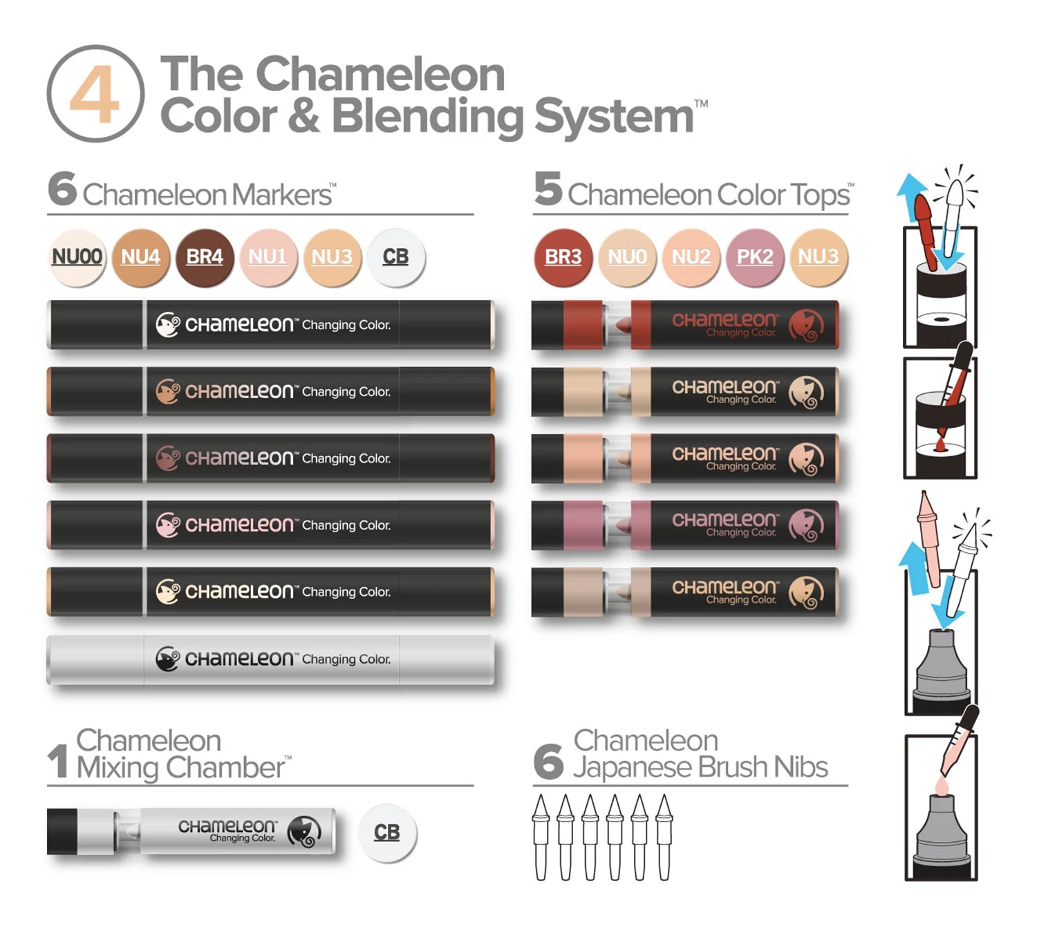CHAM COLOR & BLENDING SYSTEM N° 4
